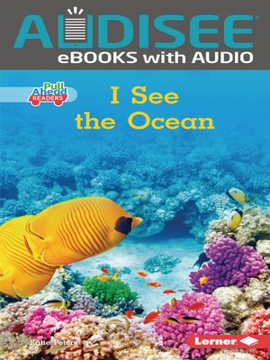 cover image of I See the Ocean